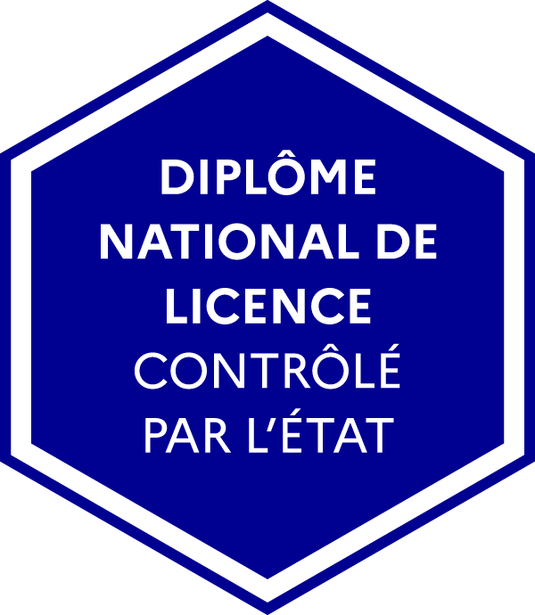 Licence Études Visuelles, Médias et Arts Numériques project screenshot